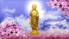 Cuộc đời đức Phật tập 2: Chuyện ly kỳ ngày đức Phật đản sinh