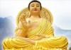Lời Phật dạy: 3 điều CÒN thì không biết, MẤT đi mới biết