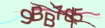 Mã bảo mật