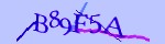 Mã bảo mật