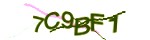 Mã bảo mật
