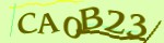 Mã bảo mật