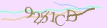Mã bảo mật