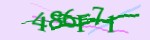 Mã bảo mật