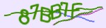 Mã bảo mật
